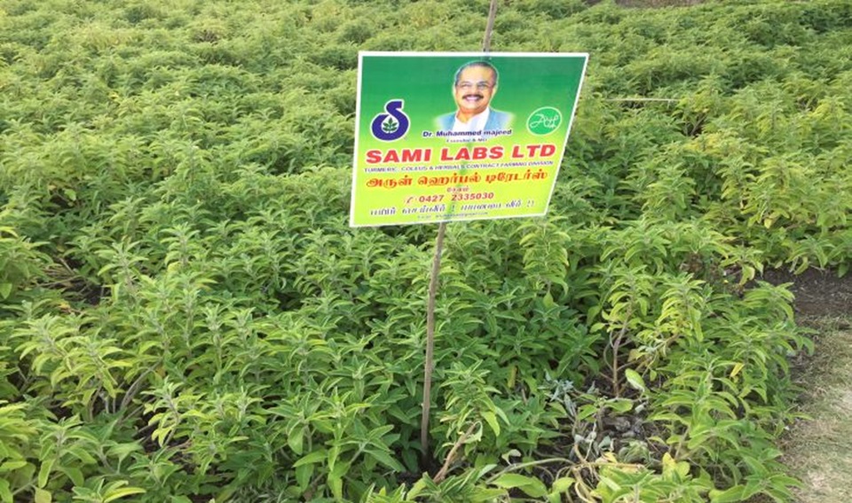 Exploring Sami Labs Production in India